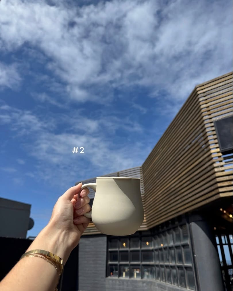 Lizzard Hearth Mug 360 mL 