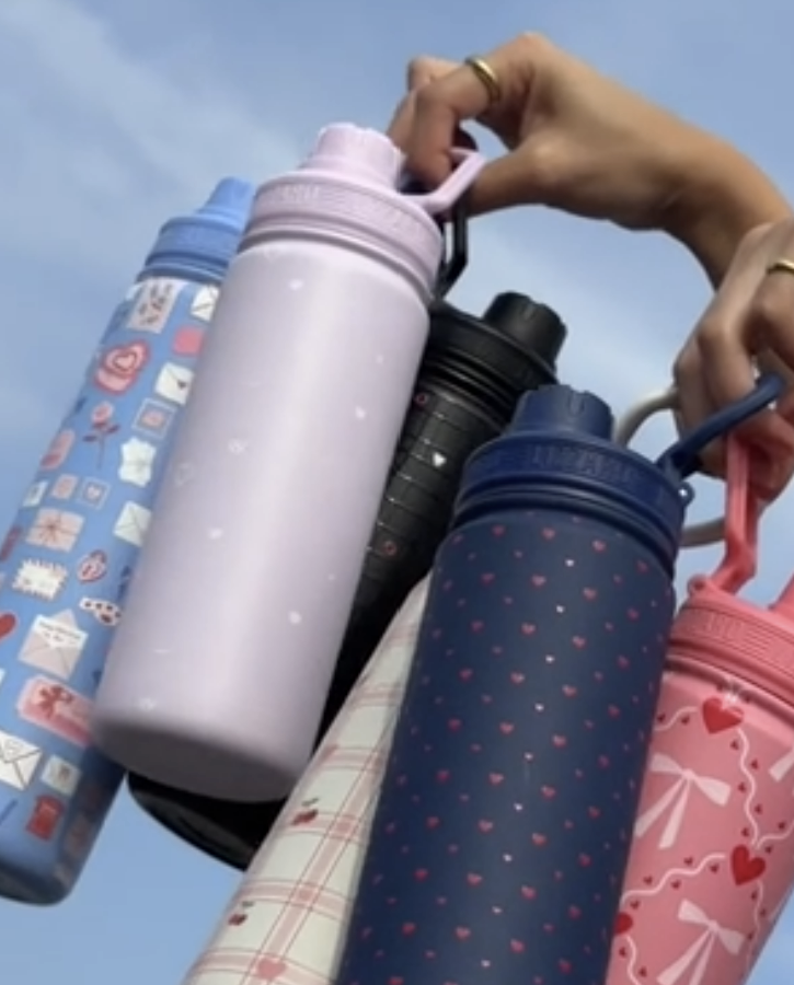 Lizzard 650 mL Printed Flasks