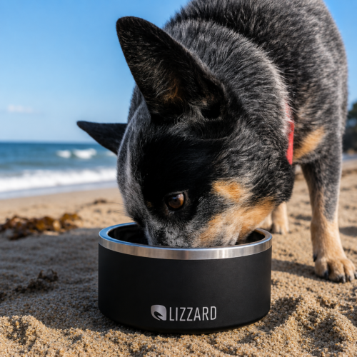 Lizzard Pet Bowl