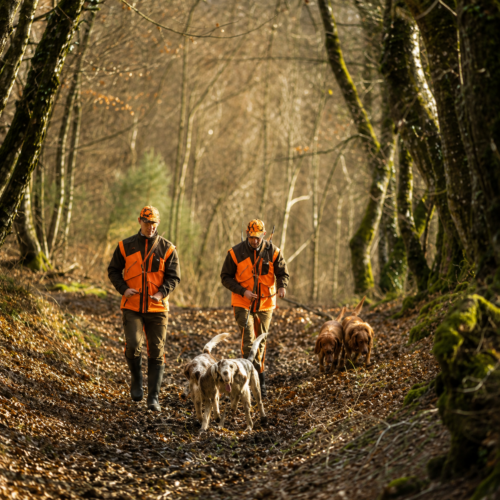 Garmin Hunting Range Dog Devices