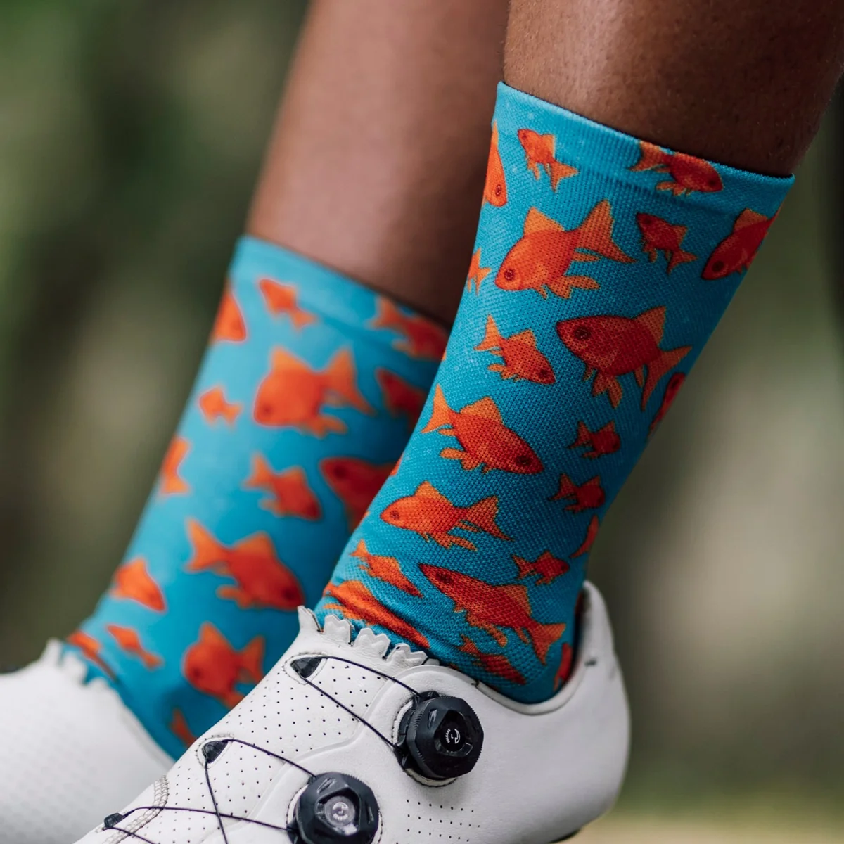 Sox Footwear- Goldfish