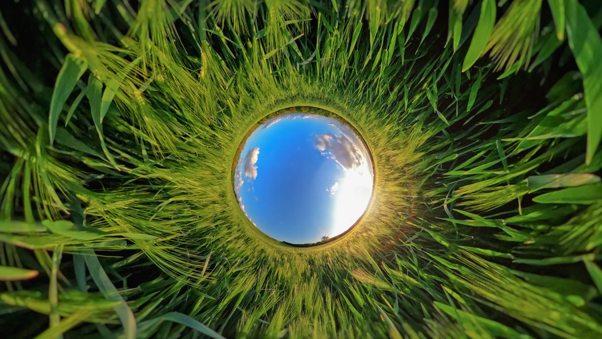 GoPro Max Enduro battery - Image 4